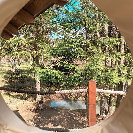 מלון ולהיצה Medve Dome - Luxury Camping In The Middle Of Nature מראה חיצוני תמונה