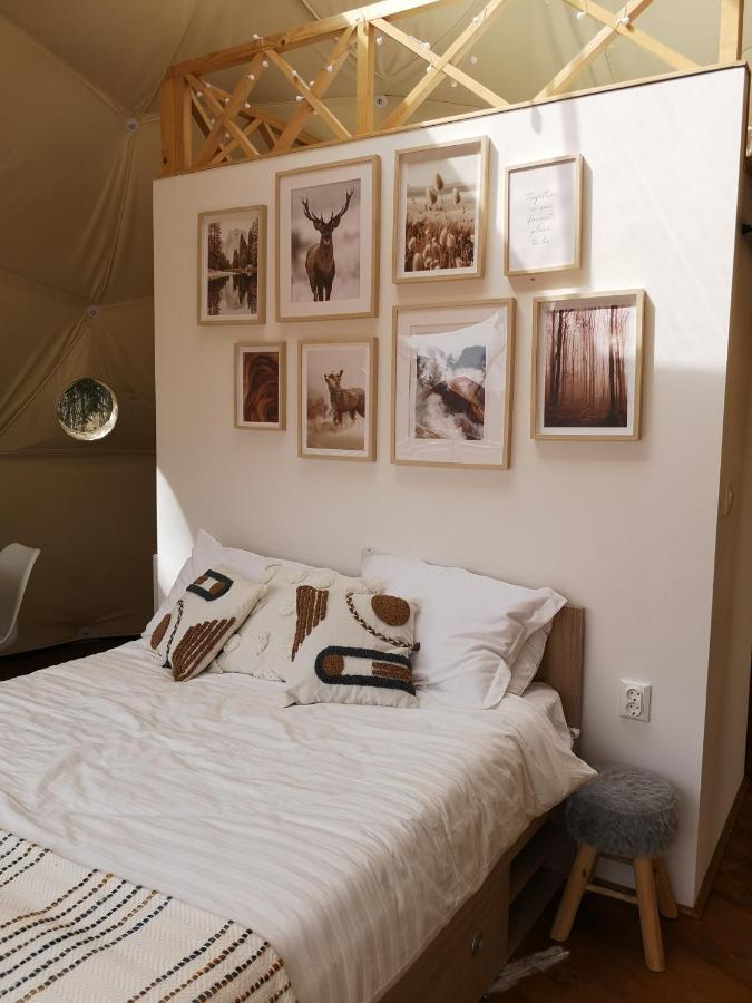 מלון ולהיצה Medve Dome - Luxury Camping In The Middle Of Nature מראה חיצוני תמונה