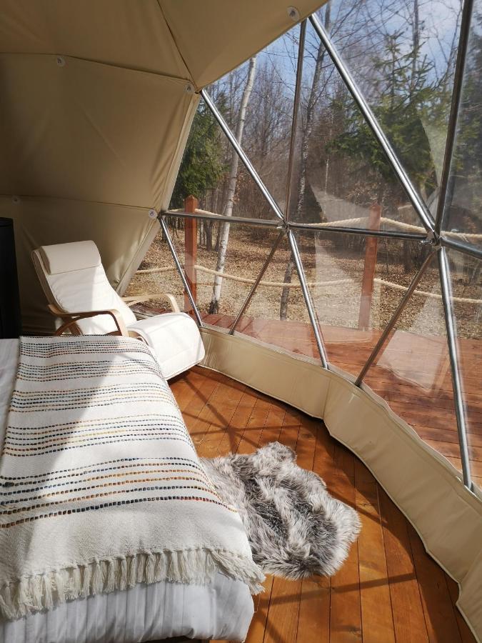 מלון ולהיצה Medve Dome - Luxury Camping In The Middle Of Nature מראה חיצוני תמונה