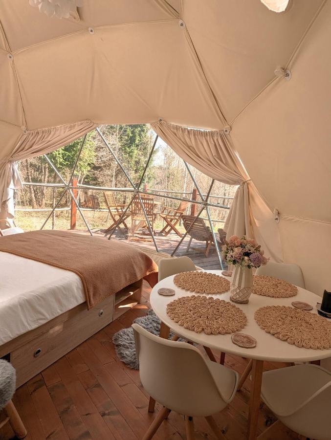 מלון ולהיצה Medve Dome - Luxury Camping In The Middle Of Nature מראה חיצוני תמונה