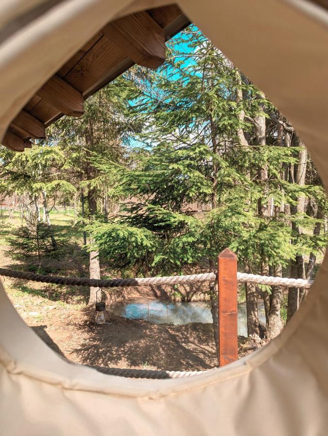 מלון ולהיצה Medve Dome - Luxury Camping In The Middle Of Nature מראה חיצוני תמונה